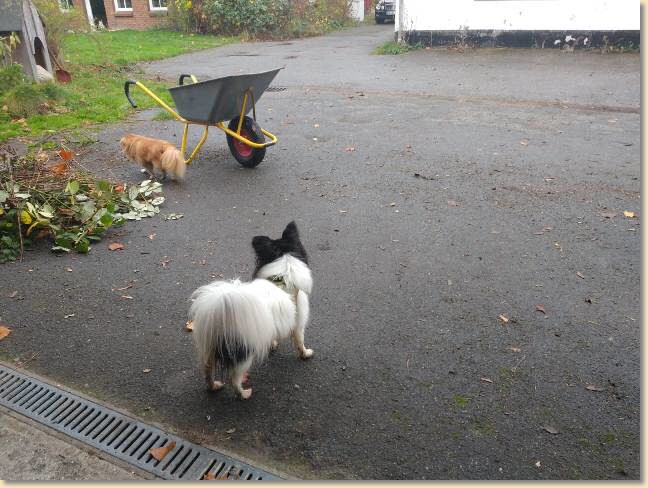 IMG-20201114-WA0003 - Kopie.jpg